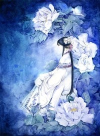 風月大陸(全)